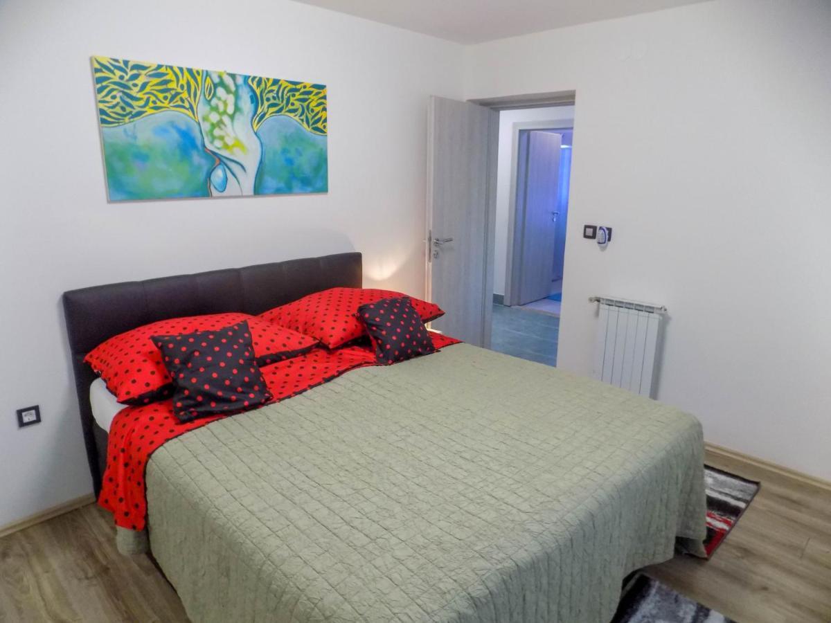 Oriella Apartmans And Room Novigrad Istria 외부 사진
