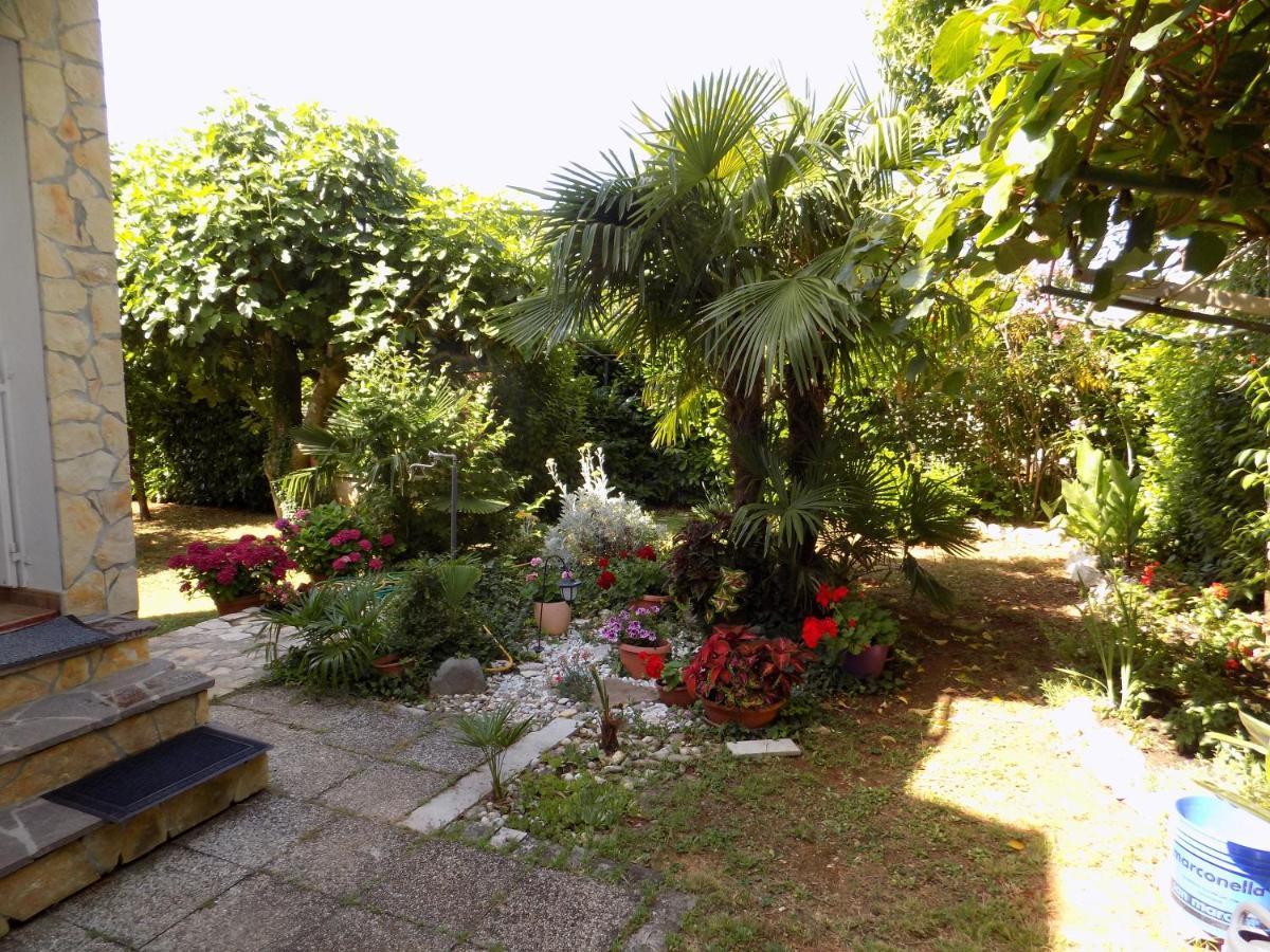 Oriella Apartmans And Room Novigrad Istria 외부 사진